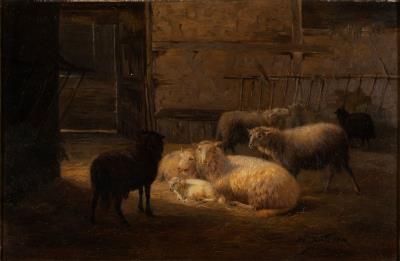Interior barn scene with group of sheep