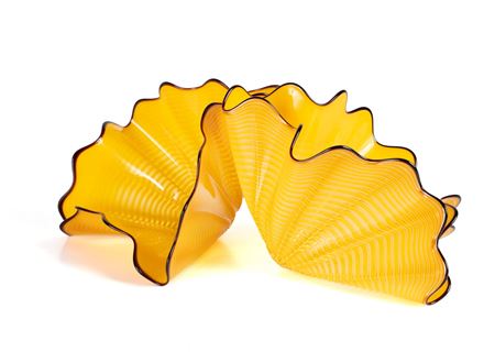 Studio Edition | Radiant Persian Pair