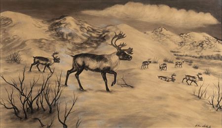 Alaskan Reindeer