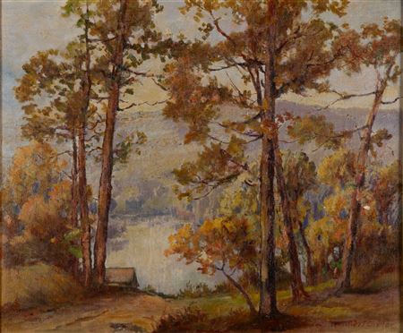 View through trees to a river with a small cabin near