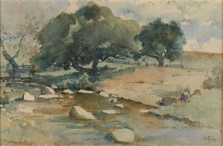 Rural landscape with trees along a fence line