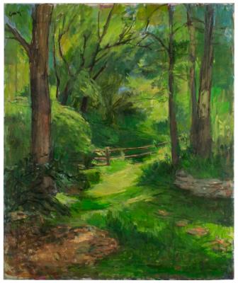 Forest Path
