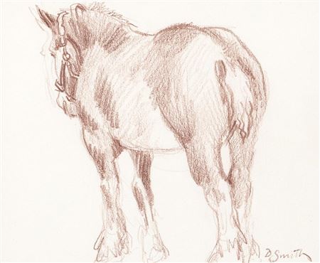 Draft Horse, 1986