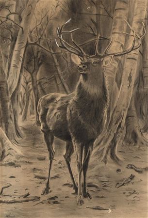 Untitled (Elk)