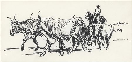 Cattle, One Rider