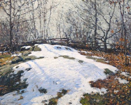 Snowy Landscape