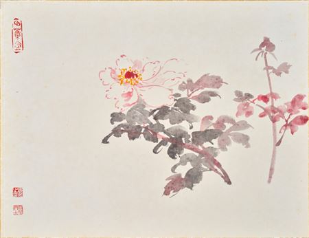 Peony