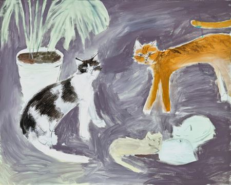 Cat Family