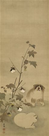Puppies and cotton plants