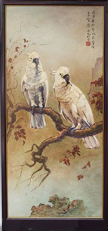 Two White Parrot