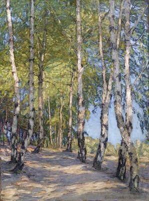 Birkenweg am Heller (Birch Path at the Heller)