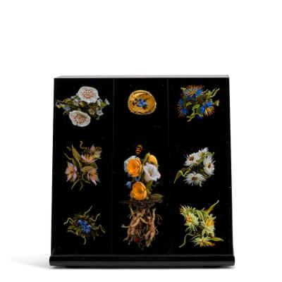 Botanical Assemblage