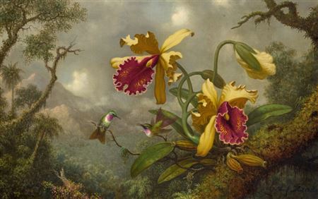 Hummingbirds and Gold and Purple Orchids