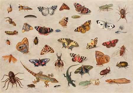 Sample artwork by Jan (The Elder) Van Kessel (1626 - 1679), known for painting, studies of nature,  birds, butterflies, insects, and monkeys - View similar artists and auction records