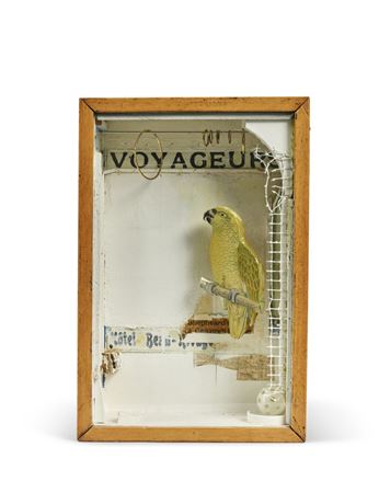 Untitled (Green Parrot Hotel Voyager)