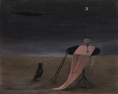 Owl About to Climb a Ladder
