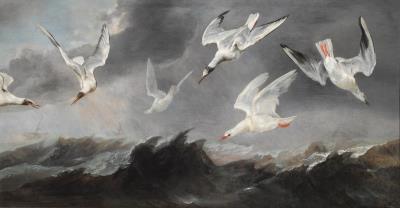 A flock of terns and seagulls above stormy seas