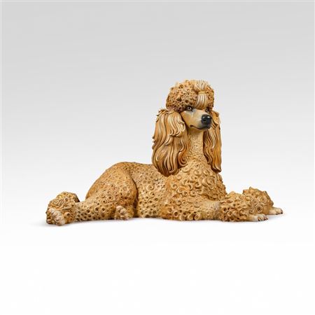 Poodle