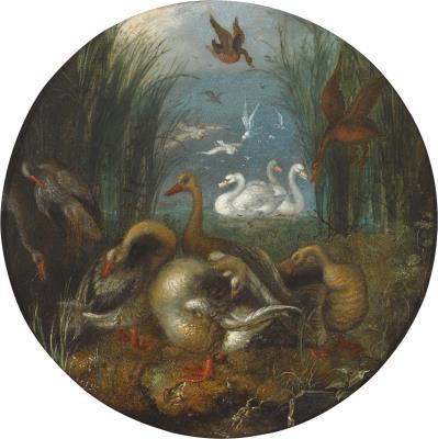 Geese preening on a bank by a marsh, frogs in the foreground, swans beyond