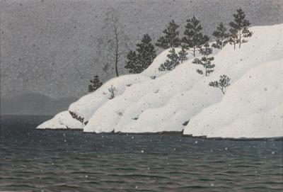 Lakeside view under the snow