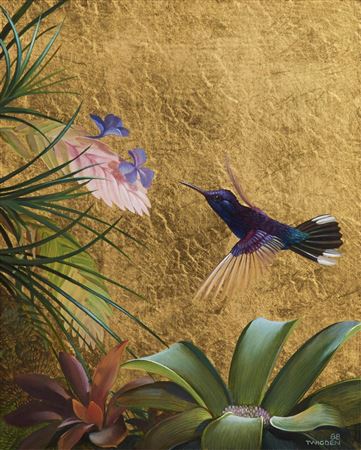 Violet Sabre-wing and Bromeliads (Costa Rica), 1988