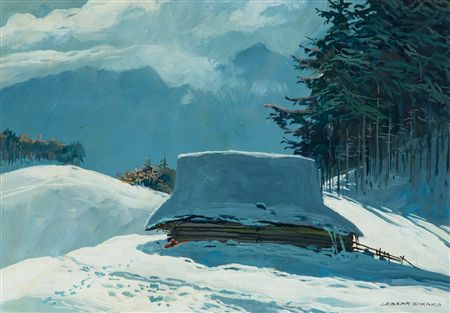 A mountain hut with a forest in the background