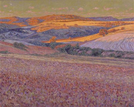'Campos al caer la tarde. Palmaces, Guadalajara'