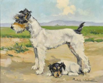 Terriers
