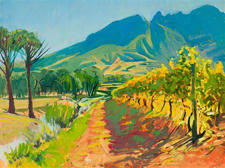 Cape Landscape with Vineyard