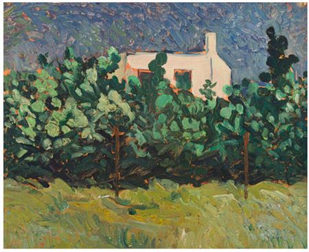 Landscape with prickly pear trees and House
