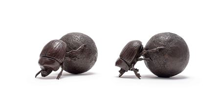 Dung Beetles(2) by Donald Greig - Auction record, sale price, and art valuation. Compare with similar artists and explore comparable artworks.