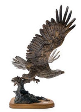 The Fish Eagle