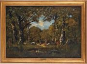 Glade in the forest