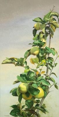 Quinces and gray sky by Francisco Sebastian Nicolau - Auction record, sale price, and art valuation. Compare with similar artists and explore comparable artworks.