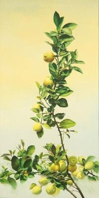 Lemons and Yellow Sky by Francisco Sebastian Nicolau - Auction record, sale price, and art valuation. Compare with similar artists and explore comparable artworks.