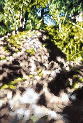 Untitled. 179P. by Philipp Frohlich - Auction record, sale price, and art valuation. Compare with similar artists and explore comparable artworks.