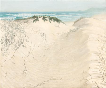SAND DUNES NEAR PLETTENBERG BAY