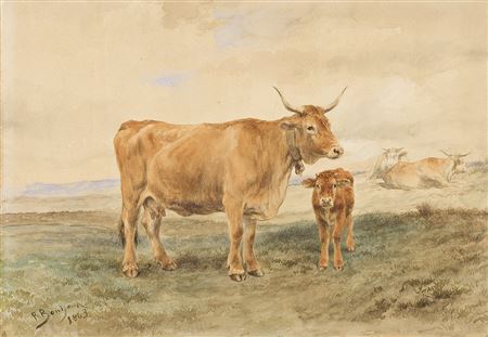 Vache et son veau.