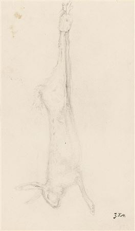 Study of a Hare