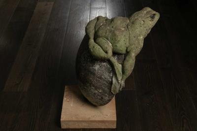 Frog on Stone