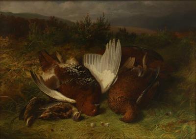 Still life of grouse and snipe