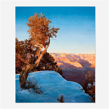 Pinon at Trail View