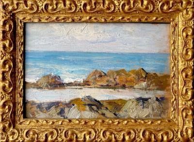 The rocky coast