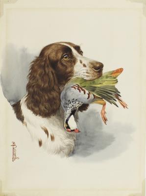 Cocker Spaniel with Partridge