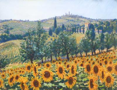 Sunflowers below San Gimignano, Tuscany