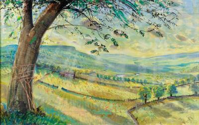 Idyllic Wensleydale Hay Time Scene
