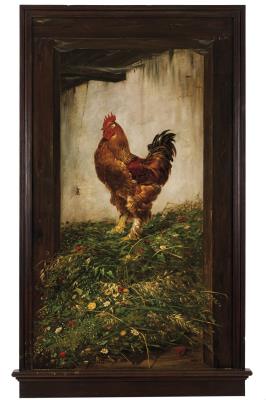 Rooster