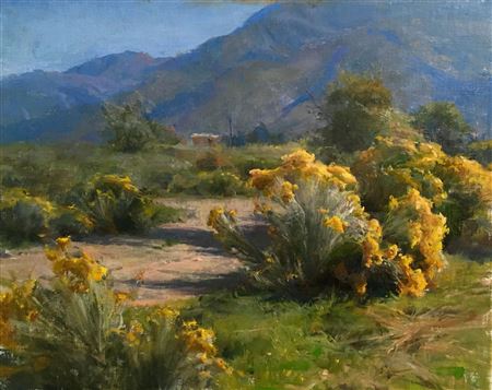 "Taos Chamisa"