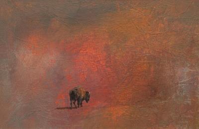 Lone Buffalo