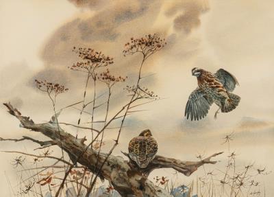 Pair of quail with tree trunk